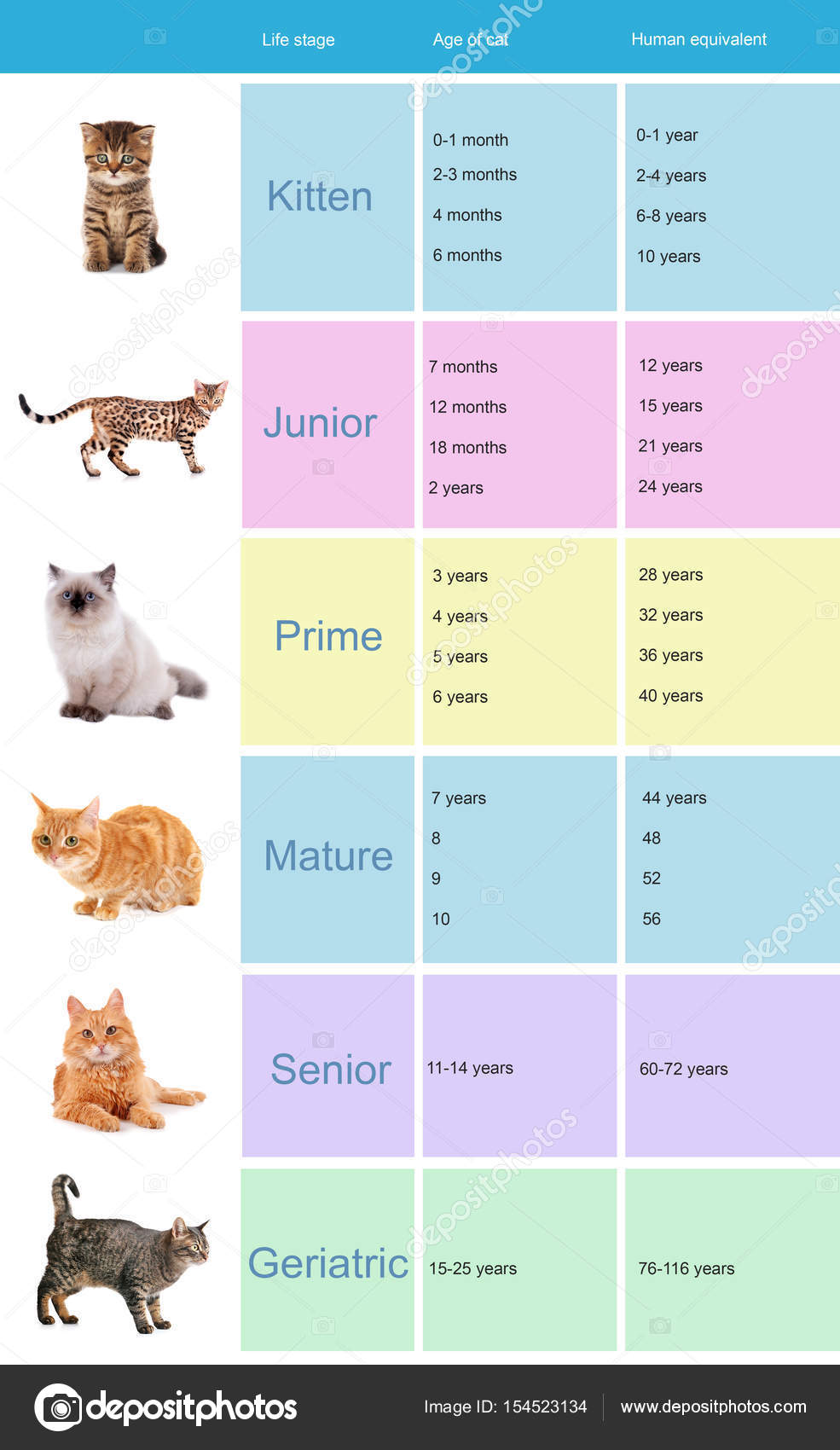 Healthy Cat Chart