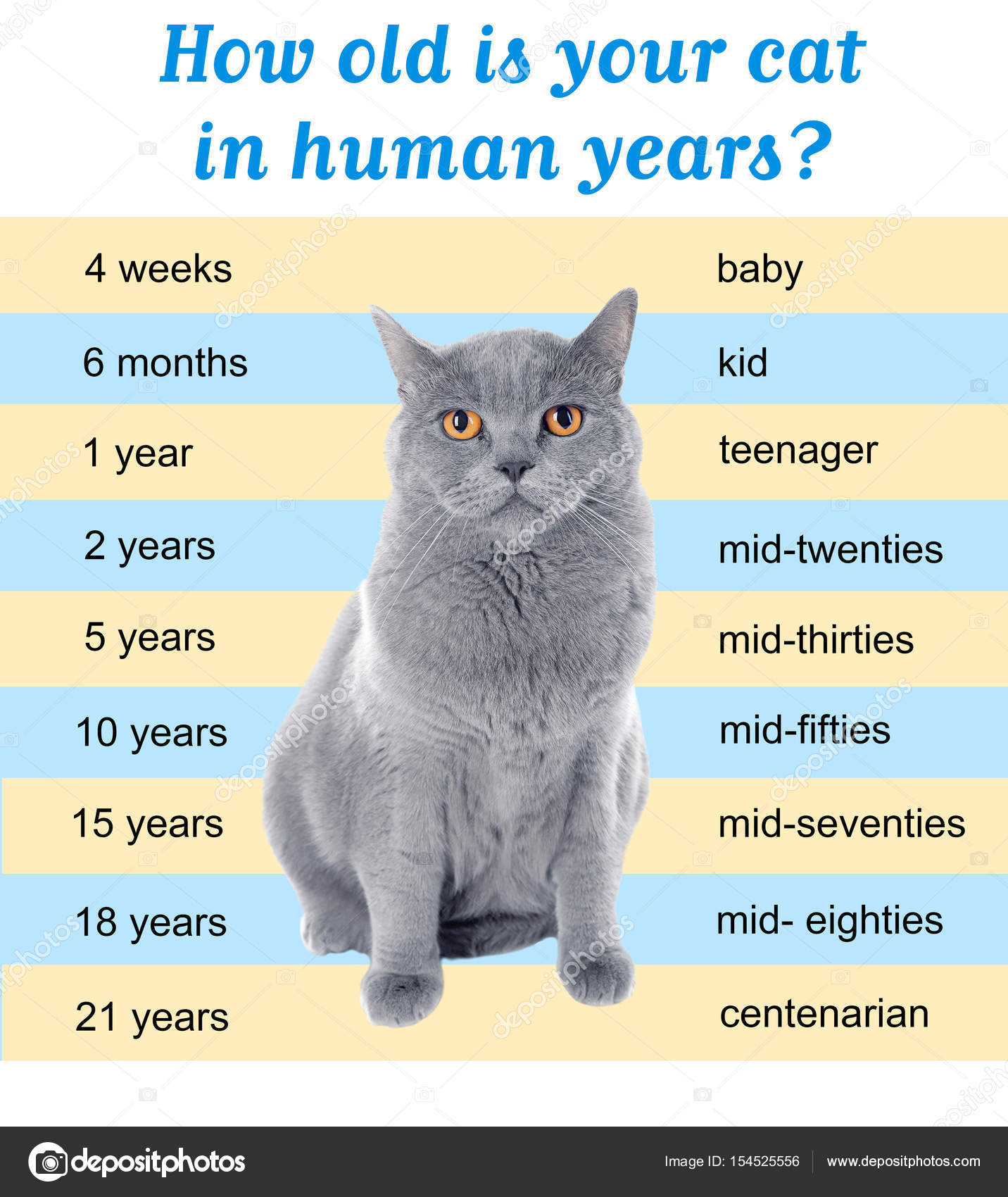 Age Of Cats Chart