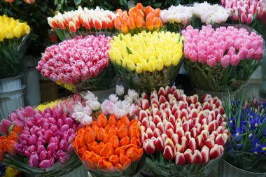 Güzel çiçekler ürün yelpazesine 