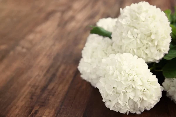 Bouquet di fiori di ortensia — Foto Stock