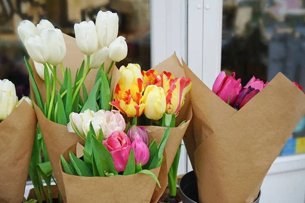 Sortimento de belas flores — Fotografia de Stock