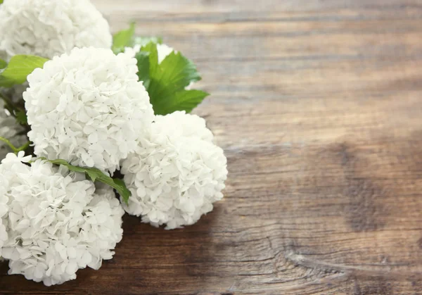 Buquê de flores de hortênsia — Fotografia de Stock