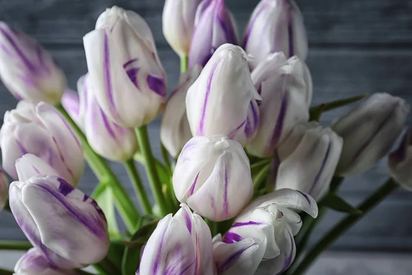 Bellissimi fiori di tulipano — Foto Stock