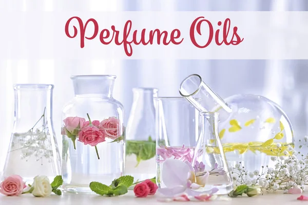 Parfum oliën concept — Stockfoto