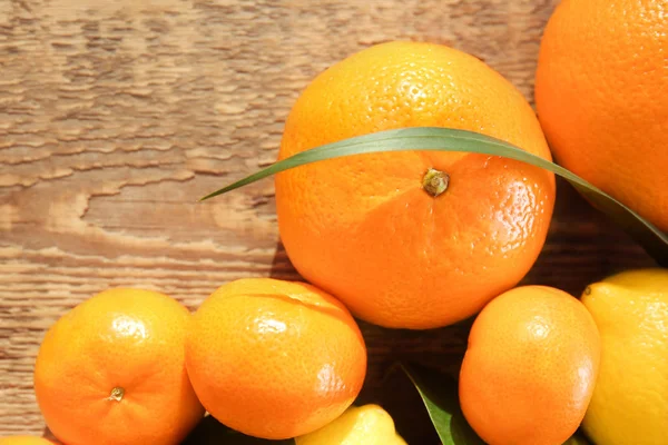Citrus fruits on wood — Stock Photo, Image