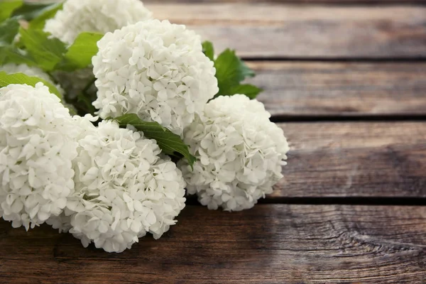 Buquê de flores de hortênsia — Fotografia de Stock