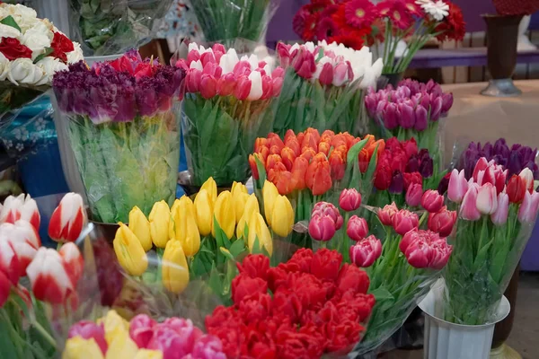 Sortimento de belas flores — Fotografia de Stock