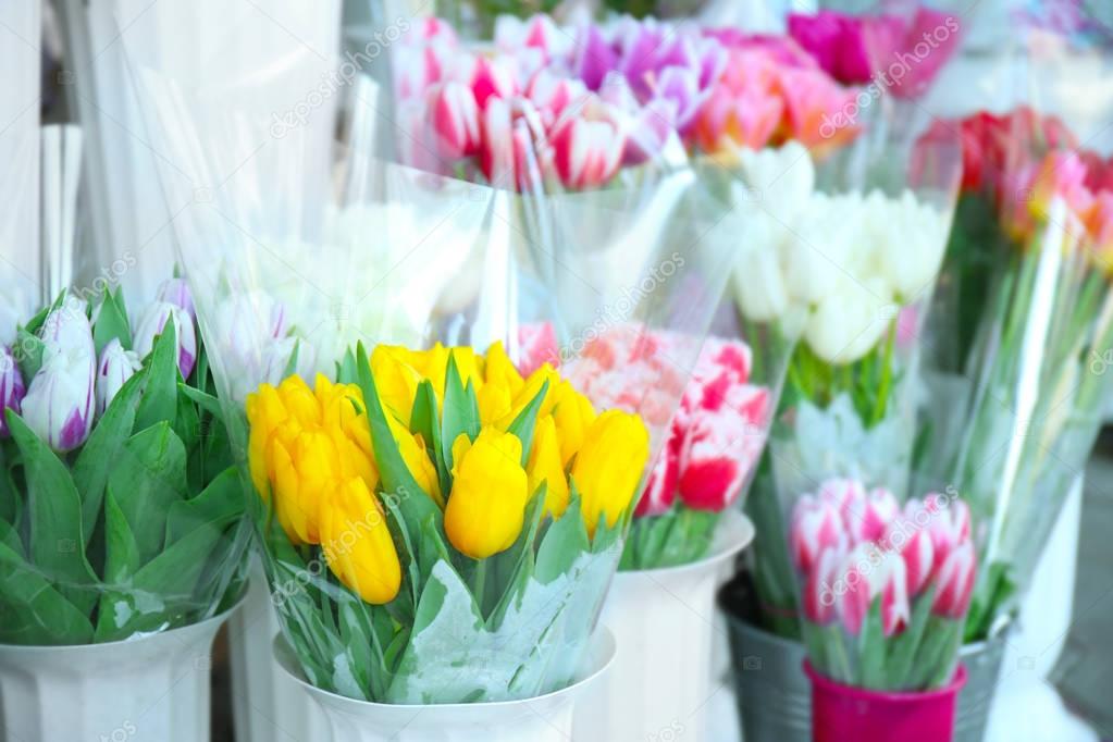 Colorful fresh tulips 