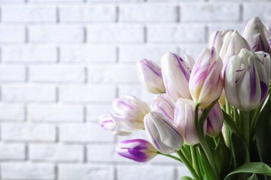 açık renkli üzerinde güzel laleler