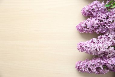 Eflatun çiçek şube 