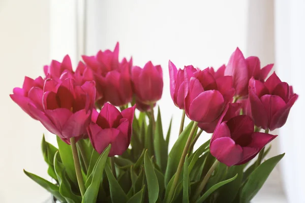 Lindas flores de tulipa — Fotografia de Stock