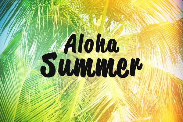 Texte ÉTÉ ALOHA et palmier — Photo