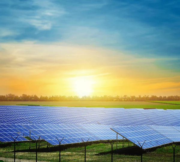 Solar panels in field. — Stock Photo, Image