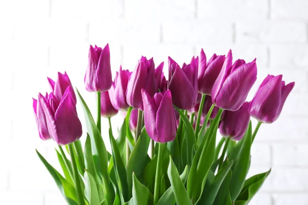 Schöne lila Tulpen — Stockfoto