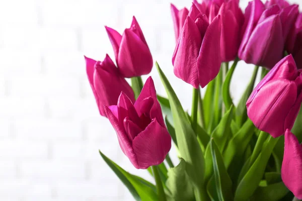Mooie paarse tulpen — Stockfoto