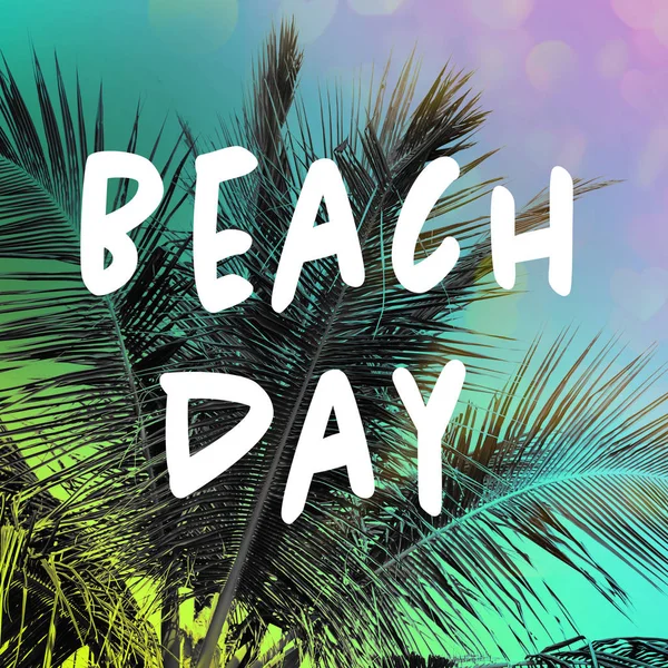 テキスト ビーチ日と椰子の木 — ストック写真