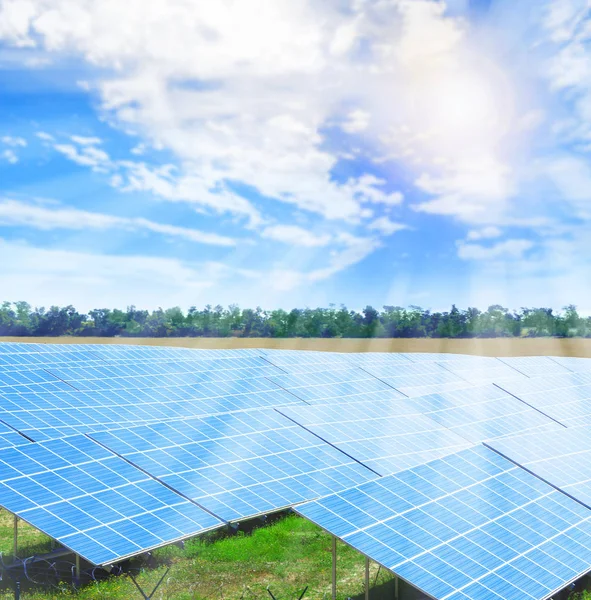 Paneles solares en campo . — Foto de Stock