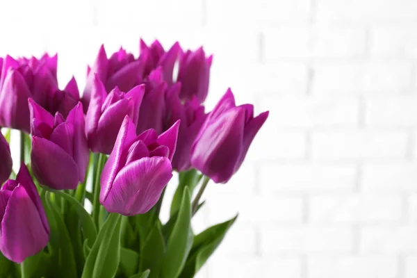 美丽的紫色郁金香 — 图库照片