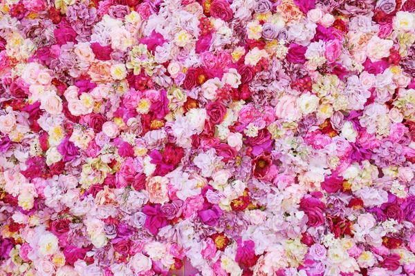 Bei fiori come sfondo — Foto Stock