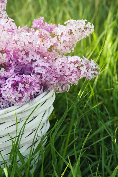 Mand met mooie lila bloemen — Stockfoto