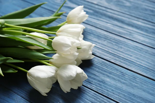 Beautiful white tulips — Stock Photo, Image