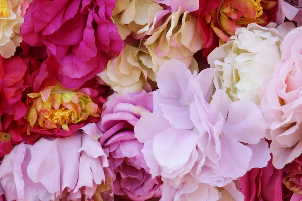 Mooie bloemen als achtergrond — Stockfoto