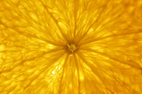 Ломтик цитрусовых — стоковое фото