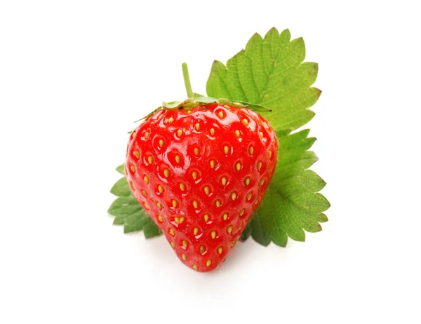 成熟的草莓和树叶 — 图库照片