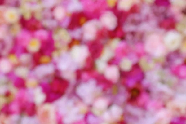 Verschwommene Sicht auf schöne Blumen — Stockfoto
