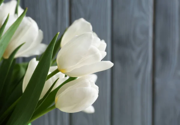 Mooie witte tulpen — Stockfoto