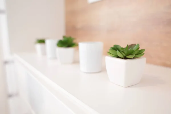 Plantas em vasos brancos na prateleira — Fotografia de Stock