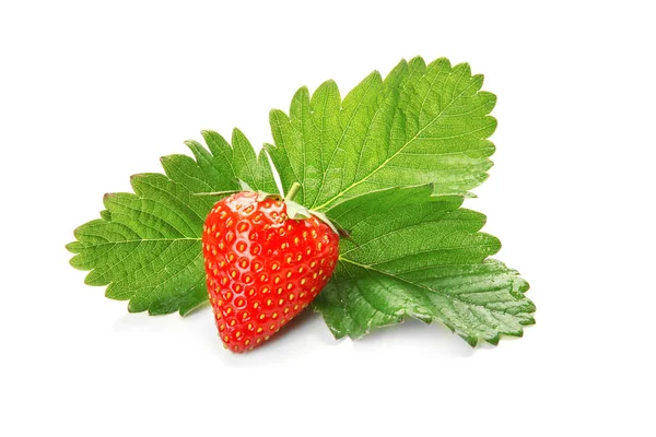 Ripe strawberry and leaves — Stock Photo, Image