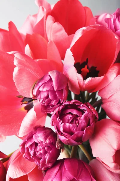 Bouquet of fresh tulips — Stock Photo, Image