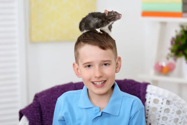 Cute boy with funny rat — Stock Photo, Image