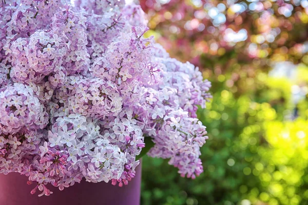 Beau bouquet de fleurs de Lilas — Photo