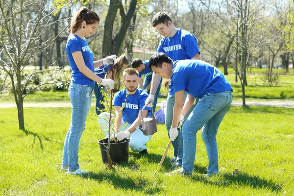 Kelompok relawan yang bekerja di taman — Stok Foto