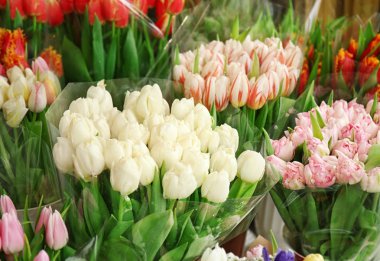 Satılık güzel Lale