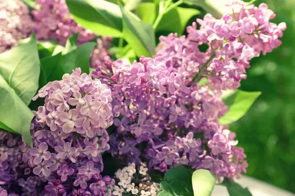 Bellissimi fiori lilla — Foto Stock