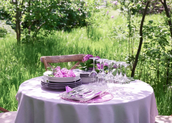 Dishware and lilac flowers — Stock Photo, Image