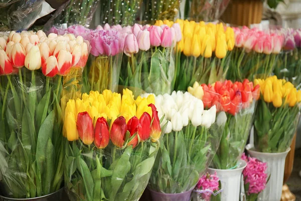 Hermosos tulipanes en venta — Foto de Stock