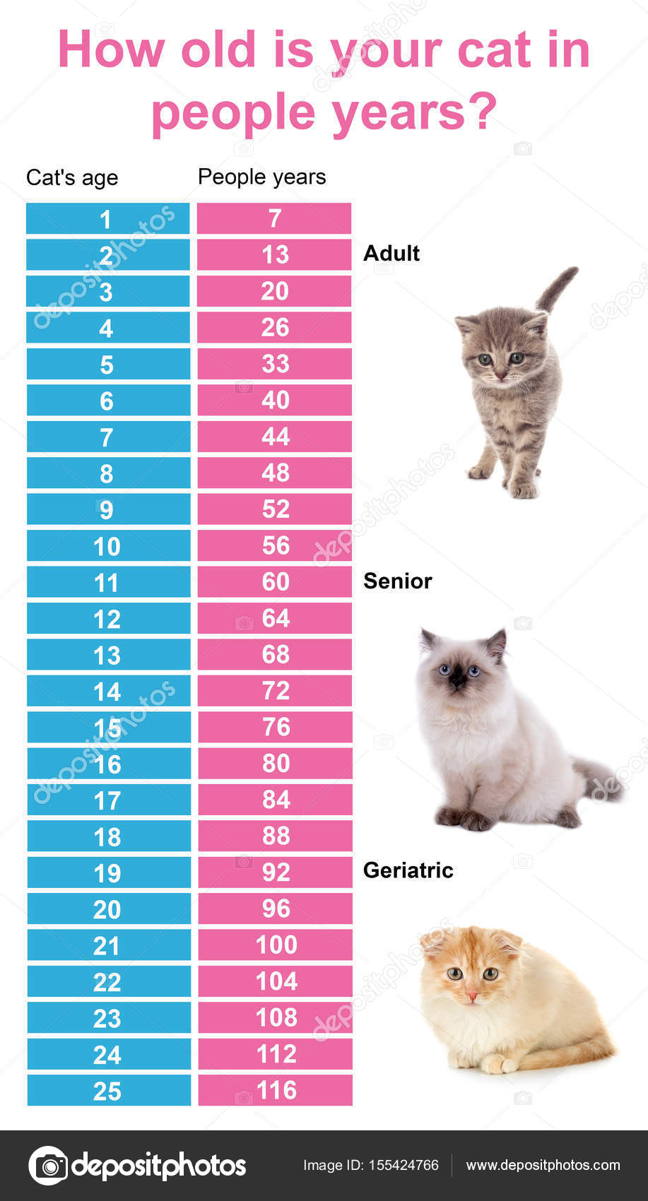 Cat Size Chart By Age