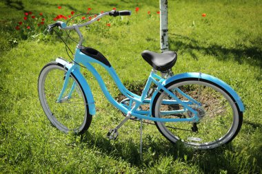 Çimenlerin üzerinde park etmiş Bisiklet 