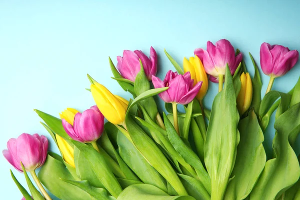 Lindas tulipas brilhantes — Fotografia de Stock
