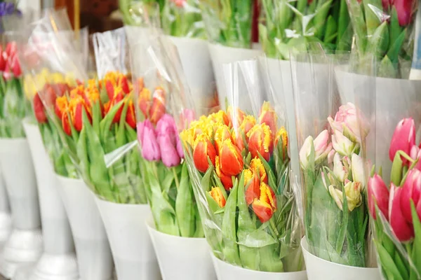 Hermosos tulipanes en venta — Foto de Stock