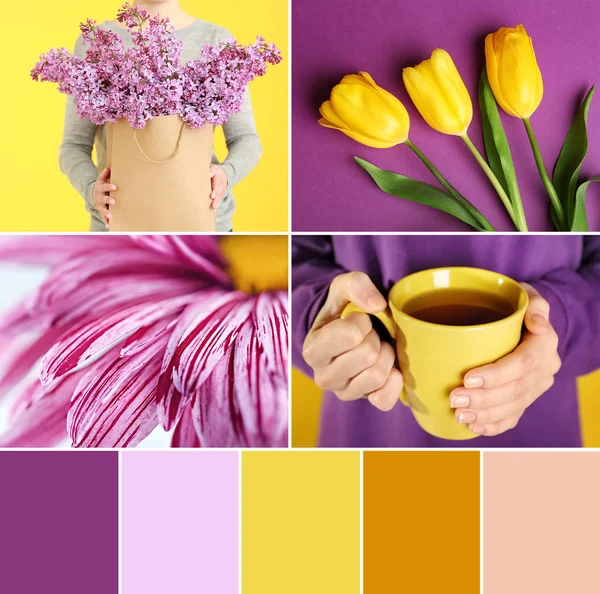 Matchande färgpalett. Collage — Stockfoto