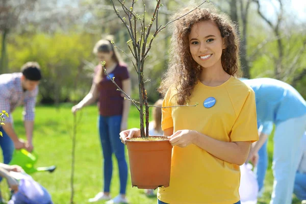 Voluntario afroamericano — Foto de Stock