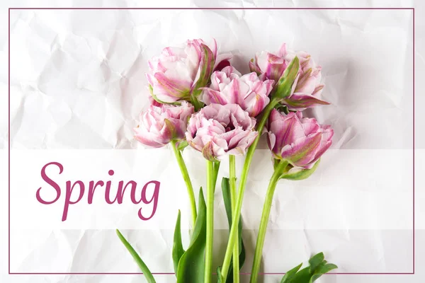 Wort Frühling und schöne Tulpen — Stockfoto