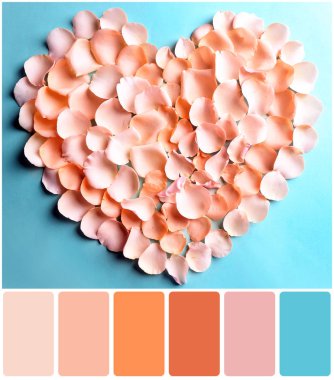 Kayısı renk eşleştirme paleti 