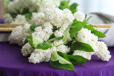 Güzel Eflatun bloom