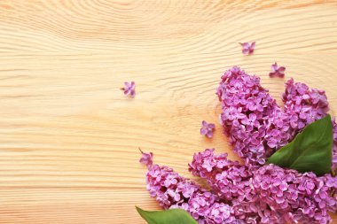 Eflatun çiçekler çok güzel 